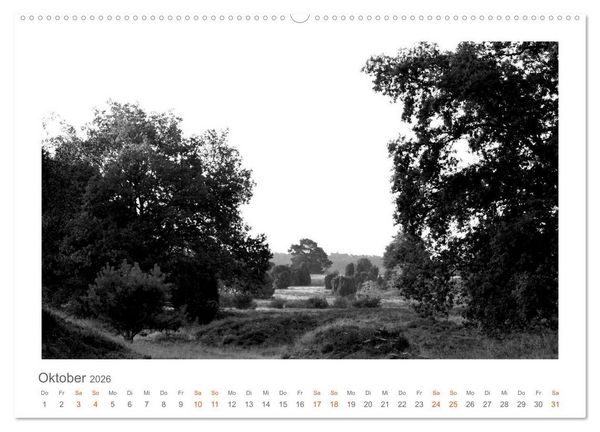 Produktbild: Quo Vadis? W&auml;lder und Wege in der R&ouml;hn, L&uuml;neburger Heide und der Mecklenburgischen Seenplatte (Wandkalender 2026 DIN A2 quer), CALVENDO Monatskalender