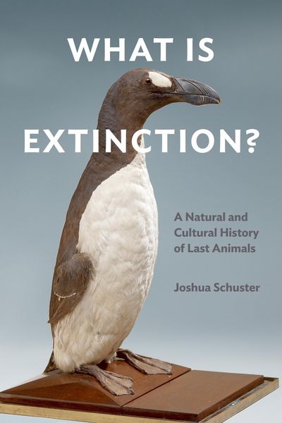 Produktbild: What Is Extinction?