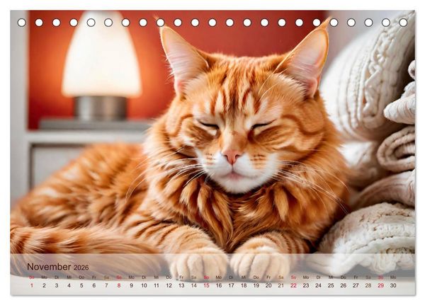 Produktbild: Rote Katzen (Tischkalender 2026 DIN A5 quer), CALVENDO Monatskalender