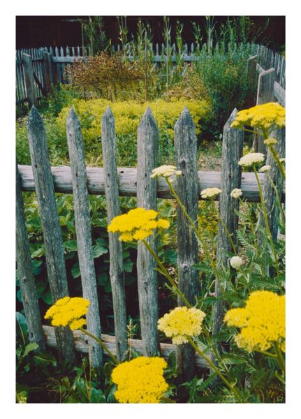 Produktbild: Bauerng&auml;rten