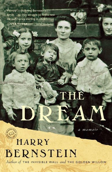 Produktbild: The Dream