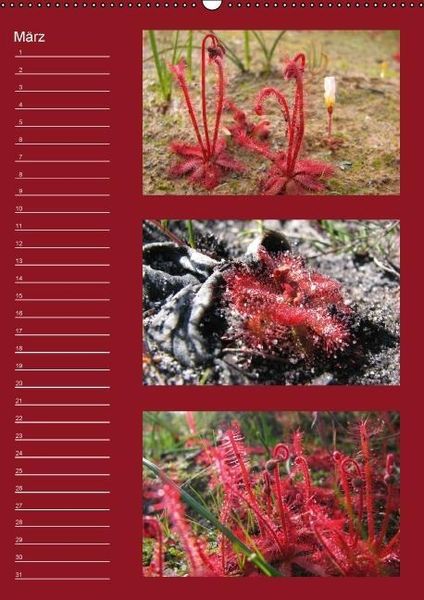 Produktbild: Zauberwelt der Blumen - Eiskristalle & Wasserperlen / Geburtstagskalender (Wandkalender immerw&auml;hrend DIN A2 hoch)