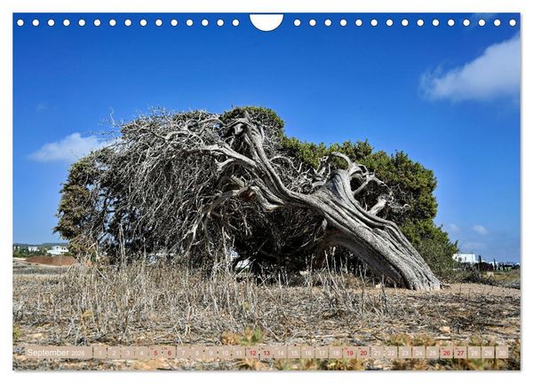 Produktbild: Zypern - Europ&auml;ische Perle zwischen Asien und Afrika (Wandkalender 2026 DIN A4 quer), CALVENDO Monatskalender