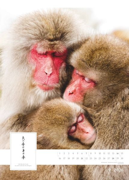 Produktbild: Spirit of Japan 2026 - Bildkalender XXL 50x70 cm - mit japanischer Kalligraphie, inkl. Übersetzung - Landschaftskalender - Wandkalender - Wandplaner