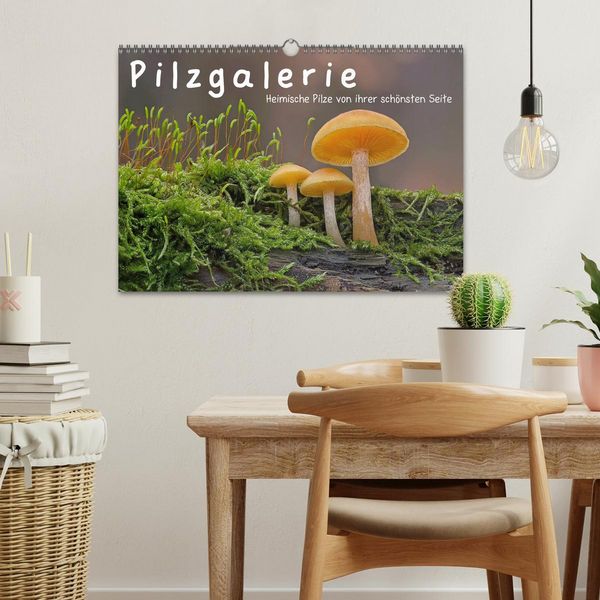 Produktbild: Pilzgalerie - Heimische Pilze von ihrer sch&ouml;nsten Seite (Wandkalender 2026 DIN A3 quer), CALVENDO Monatskalender
