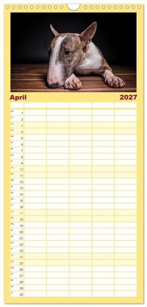 Produktbild: Familienplaner 2027 - Bullterrier mit 5 Spalten (Wandkalender, 21 x 45 cm) CALVENDO