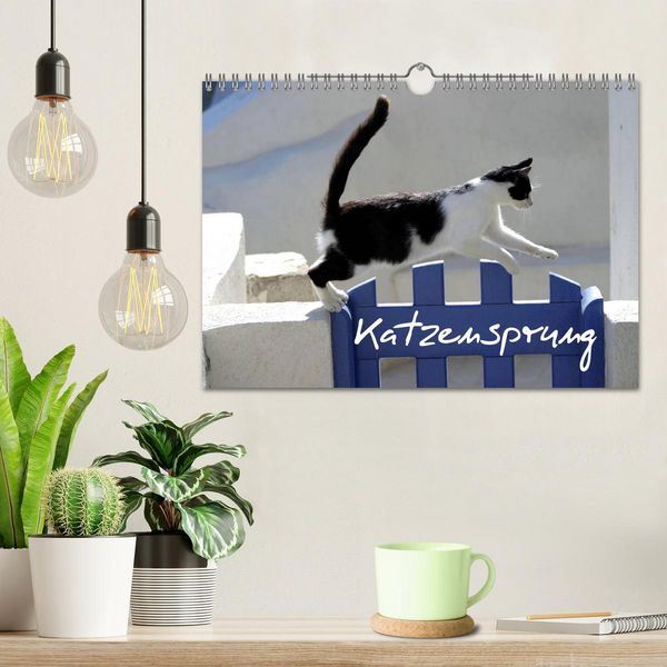 Produktbild: Katzensprung (Wandkalender 2026 DIN A4 quer), CALVENDO Monatskalender