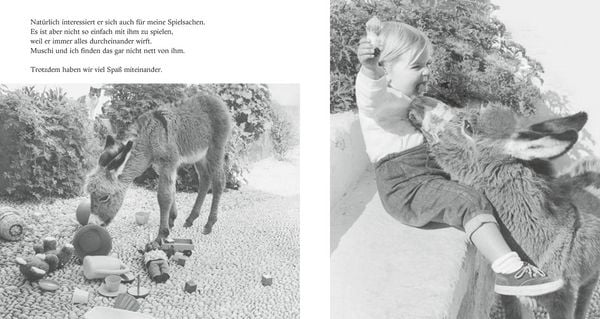 Produktbild: Mein Esel Benjamin (Pappbilderbuch)