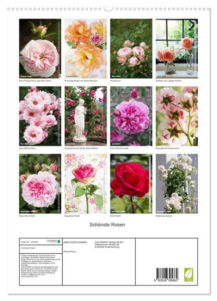 Produktbild: Sch&ouml;nste Rosen (hochwertiger Premium Wandkalender 2026 DIN A2 hoch), Kunstdruck in Hochglanz