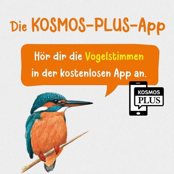 Produktbild: Was fliegt denn da? Kindernaturf&uuml;hrer