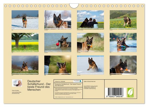 Produktbild: Deutscher Sch&auml;ferhund - Der beste Freund des Menschen (Wandkalender 2026 DIN A4 quer), CALVENDO Monatskalender