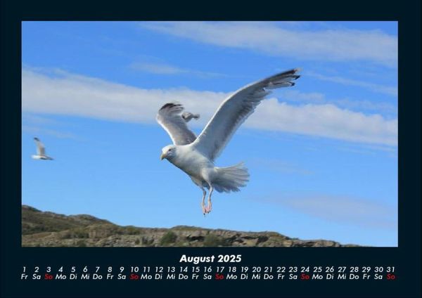 Produktbild: Nordsee 2025 Fotokalender DIN A4