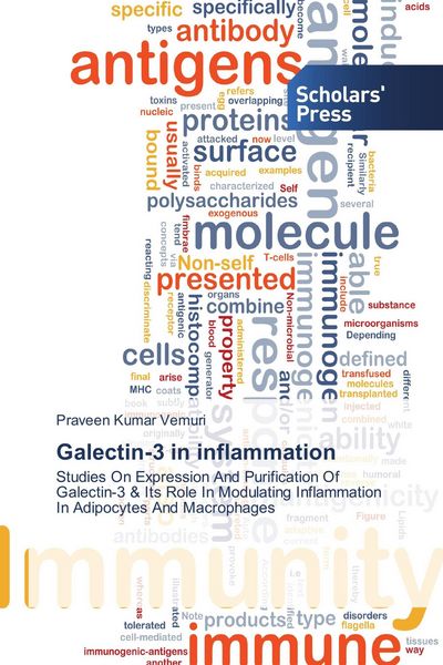 Produktbild: Galectin-3 in inflammation