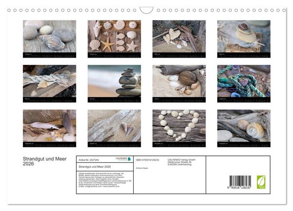 Produktbild: Strandgut und Meer 2026 (Wandkalender 2026 DIN A3 quer), CALVENDO Monatskalender