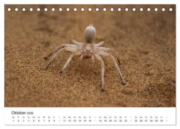 Produktbild: Namibia - Tierische Vielfalt (Tischkalender 2026 DIN A5 quer), CALVENDO Monatskalender