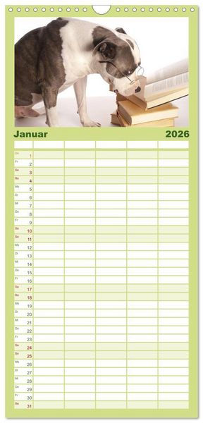 Produktbild: Familienplaner 2026 - Pit Bull und Co. - Geliebt, gef&uuml;rchtet, missverstanden mit 5 Spalten (Wandkalender, 21 x 45 cm) CALVENDO