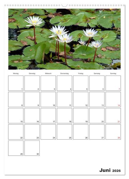 Produktbild: Venezuela - Land der Kontraste (Wandkalender 2026 DIN A2 hoch), CALVENDO Monatskalender