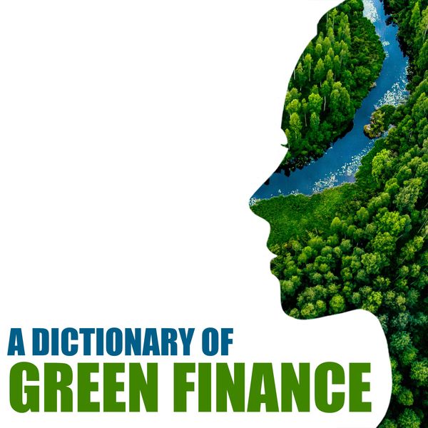 Produktbild: A dictionary of green finance