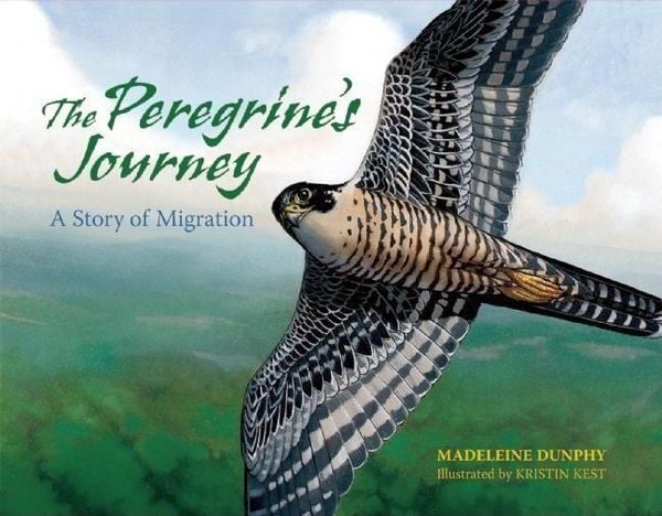 Produktbild: The Peregrine's Journey