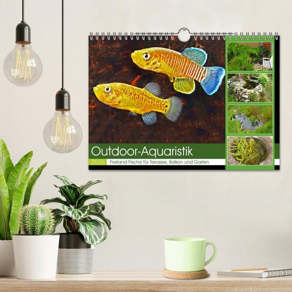 Produktbild: Outdoor-Aquaristik (Wandkalender 2026 DIN A4 quer), CALVENDO Monatskalender