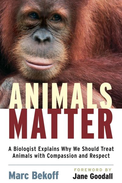 Produktbild: Animals Matter