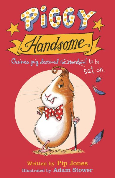 Produktbild: Piggy Handsome