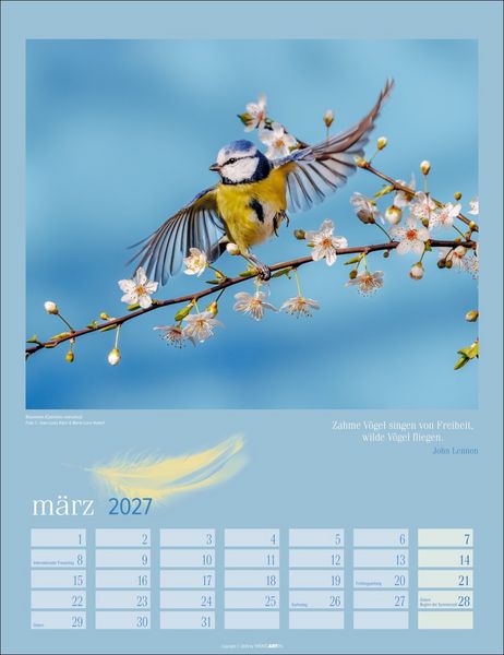 Produktbild: Heimische V&ouml;gel Kalender 2027
