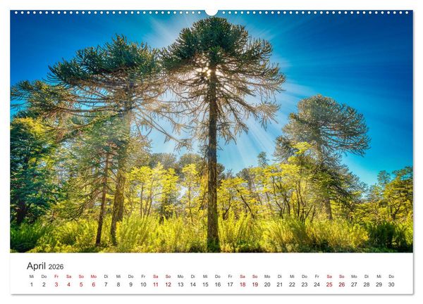 Produktbild: Chile - Das langgestreckte Land. (Wandkalender 2026 DIN A2 quer), CALVENDO Monatskalender