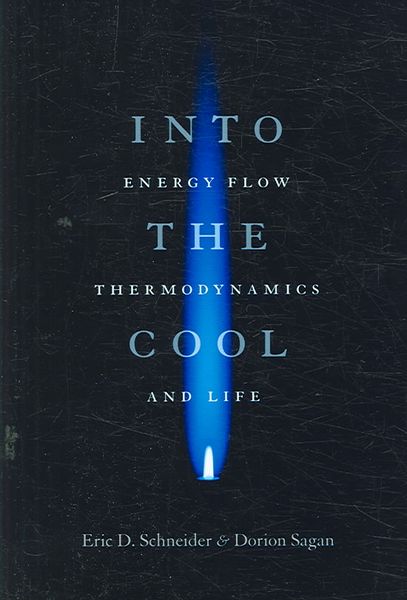 Produktbild: Into the Cool - Energy Flow, Thermodynamics, and Life