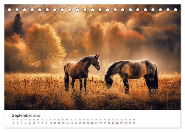 Produktbild: Im Wind der Freiheit - Ein Jahr voller Pferde (Tischkalender 2026 DIN A5 quer), CALVENDO Monatskalender