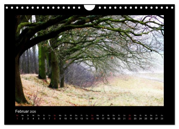 Produktbild: Landschaft Teufelsmoor / 2026 (Wandkalender 2026 DIN A4 quer), CALVENDO Monatskalender