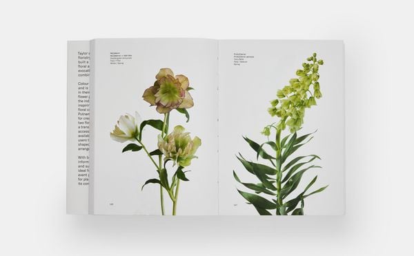 Produktbild: Flower Colour Guide