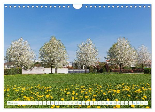 Produktbild: K&ouml;ln Widdersdorf - Bl&uuml;tentr&auml;ume und l&auml;ndliche Idylle (Wandkalender 2026 DIN A4 quer), CALVENDO Monatskalender