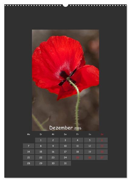 Produktbild: Mohn (Wandkalender 2026 DIN A2 hoch), CALVENDO Monatskalender