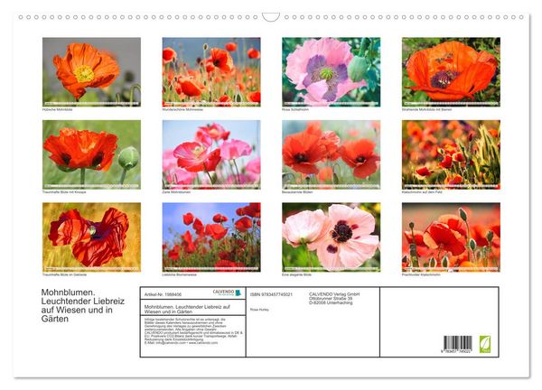 Produktbild: Mohnblumen. Leuchtender Liebreiz auf Wiesen und in G&auml;rten (Wandkalender 2026 DIN A2 quer), CALVENDO Monatskalender