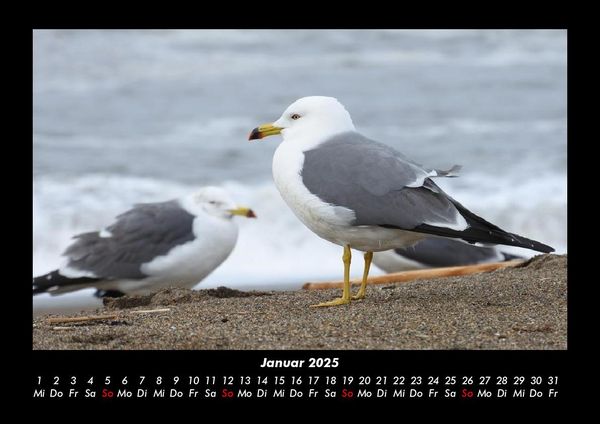 Produktbild: Str&auml;nde der Welt 2025 Fotokalender DIN A3