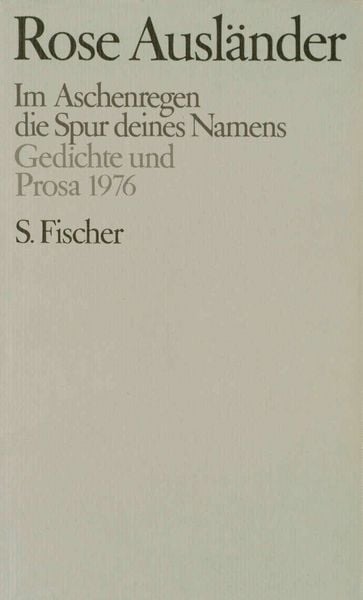 Produktbild: Im Aschenregen / die Spur deines Namens