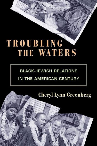 Produktbild: Troubling the Waters