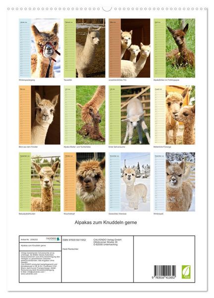 Produktbild: Alpakas zum Knuddeln gerne (hochwertiger Premium Wandkalender 2026 DIN A2 hoch), Kunstdruck in Hochglanz