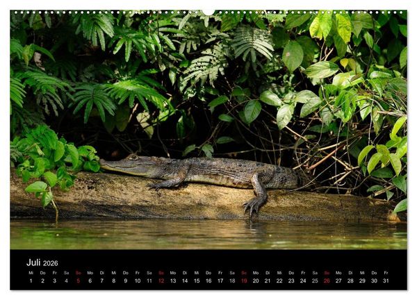 Produktbild: REPTILIEN (hochwertiger Premium Wandkalender 2026 DIN A2 quer), Kunstdruck in Hochglanz