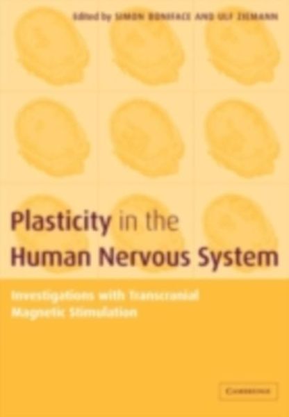 Produktbild: Plasticity in the Human Nervous System