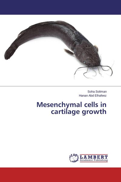 Produktbild: Mesenchymal cells in cartilage growth