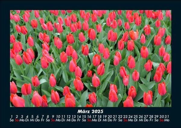 Produktbild: Blumenzauber 2025 Fotokalender DIN A5