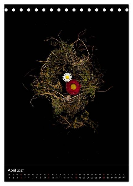 Produktbild: Blumen bei Nacht (Tischkalender 2027 DIN A5 hoch), CALVENDO Monatskalender