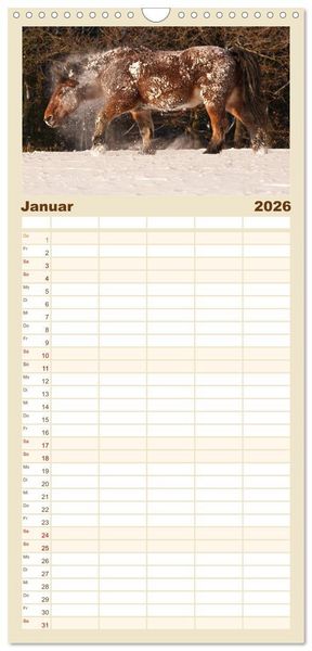 Produktbild: Familienplaner 2026 - Kaltblut - schwere Pferde mit Herz mit 5 Spalten (Wandkalender, 21 x 45 cm) CALVENDO