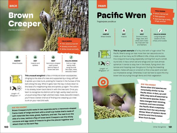 Produktbild: Birds of the Pacific Northwest for Kids