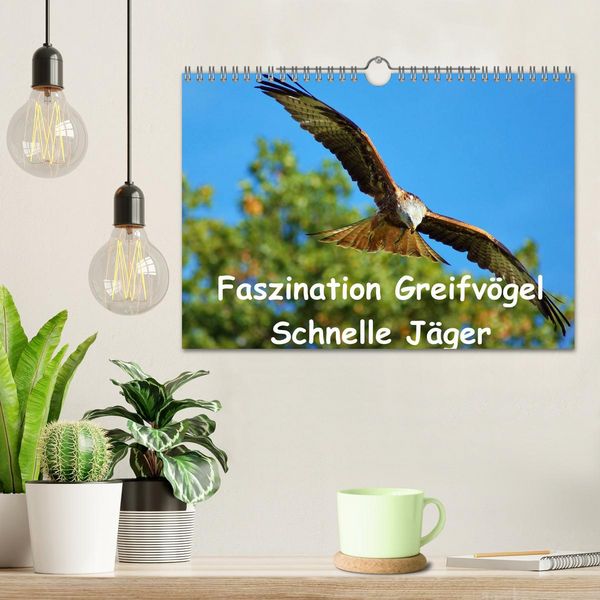 Produktbild: Faszination Greifv&ouml;gel Schnelle J&auml;ger (Wandkalender 2026 DIN A4 quer), CALVENDO Monatskalender