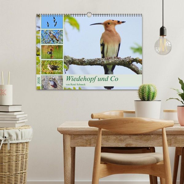 Produktbild: Wiedehopf und Co - von Ren&eacute; Schaack (Wandkalender 2026 DIN A3 quer), CALVENDO Monatskalender