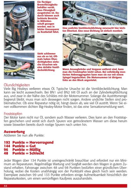 Praxisratgeber Klassikerkauf Austin Healey