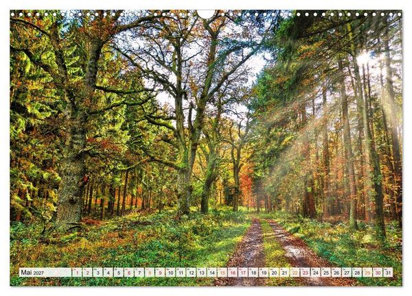 Produktbild: Naturpark Reinhardswald - Wo die Sababurg auf die Weser trifft (Wandkalender 2027 DIN A3 quer), CALVENDO Monatskalender